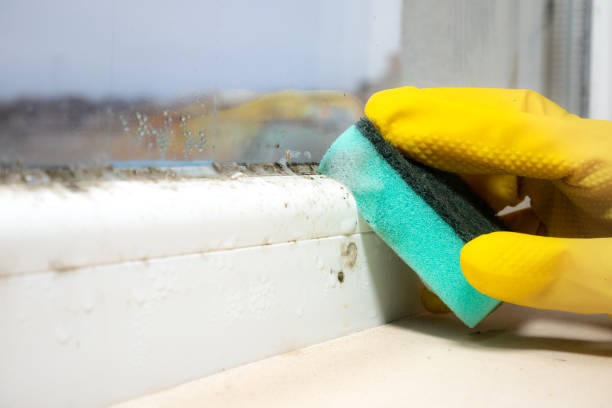 Crawl Space Mold Removal in Pipestone, MN